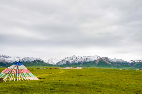 祁连山雪山大草原