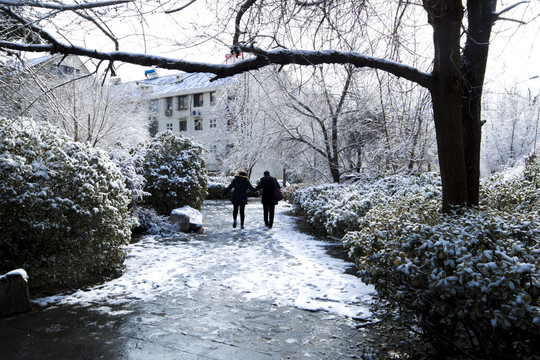 城市住宅雪景老年夫妻牵手背影