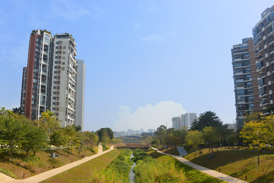 深圳大学城大沙河风光