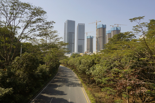 绿树成荫的深圳大学城道路