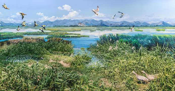 拉萨河湿地