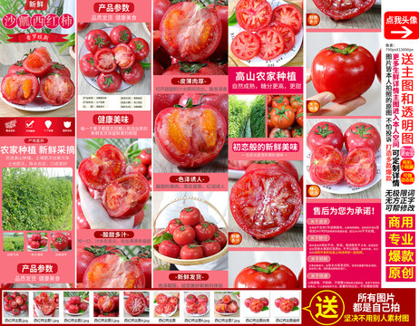 沙瓤西紅柿詳情主圖