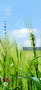 小滿海報