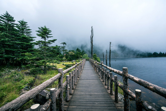 景区旅游步道