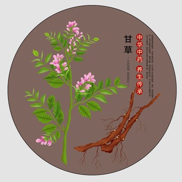 手繪甘草插畫