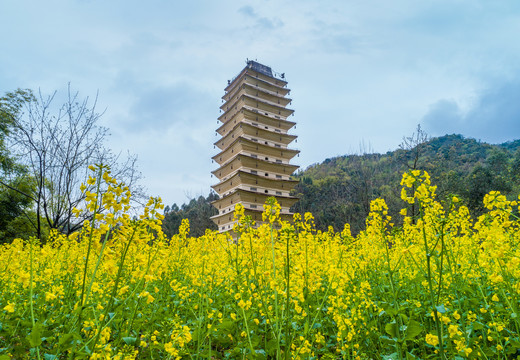 彭州云居院塔春色