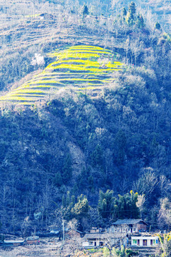 早春的小山村