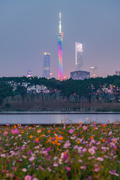 广州三塔与海珠湖花海