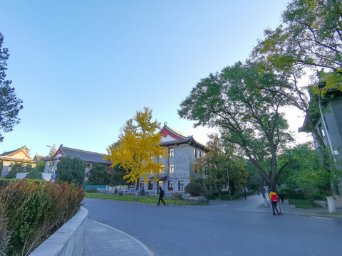 北京大学晨光