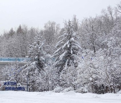 冰雪丛林