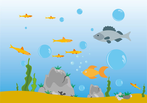 魚缸背景