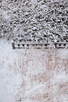 雪景