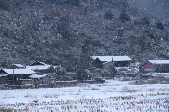 大雪