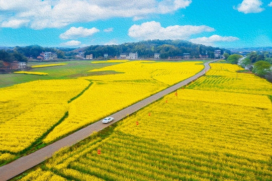 湖南省衡阳市常宁市胜桥镇油菜花