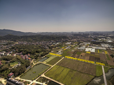 浙江兰溪岩头村油菜花田航拍