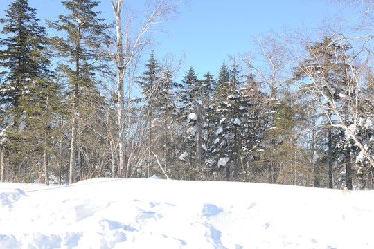 雪景素材