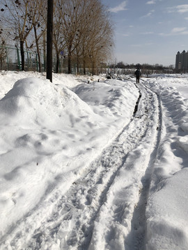 雪地车辙