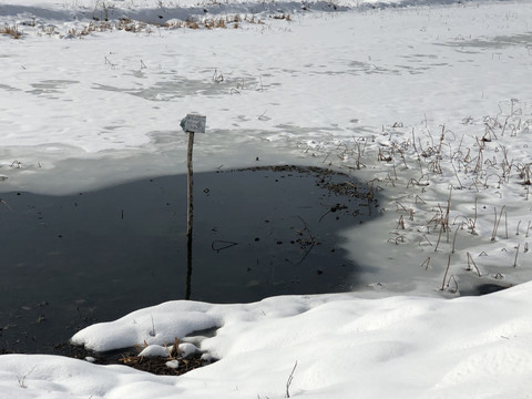 雪地池水