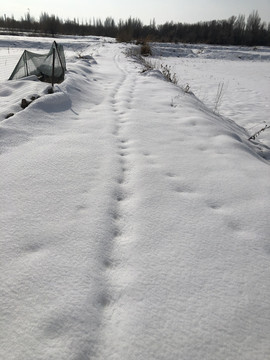 雪地雪路