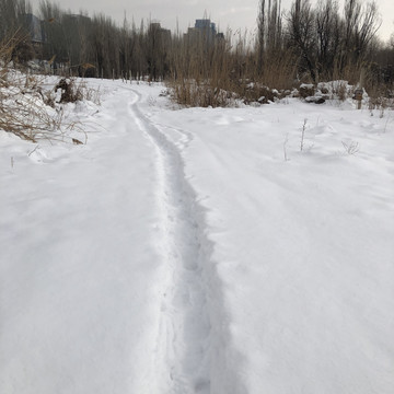 雪地雪路