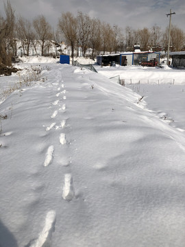 雪地足印