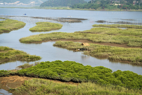 福建霞浦