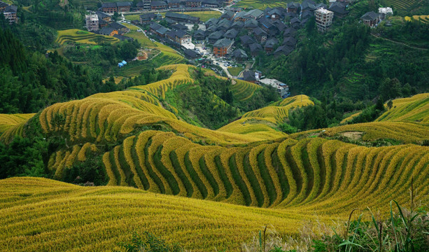 田园风光