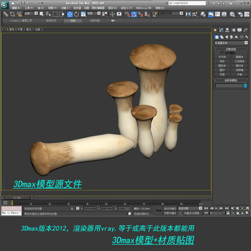 杏鲍菇3D模型3dmax