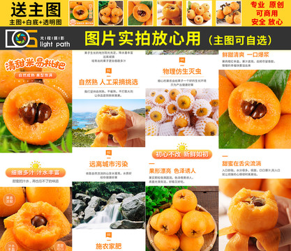 枇杷