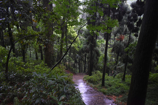 青城山