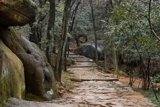 山間小道