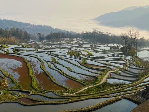 箐口梯田