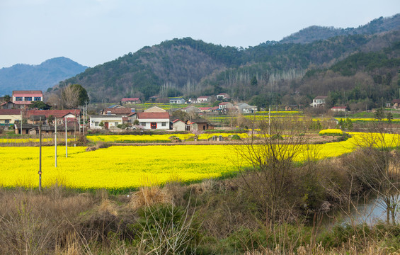 乡村风光