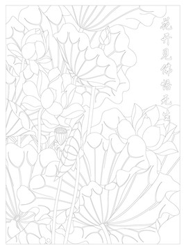 荷花線描圖