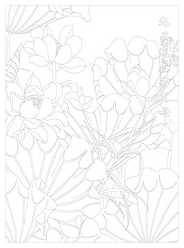 荷花線描圖