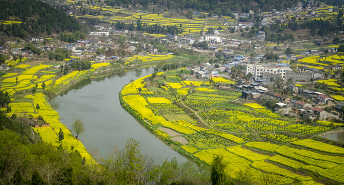 航拍河流油菜花