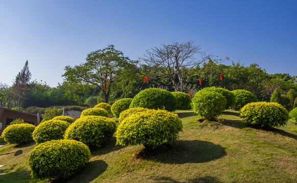 園林綠化