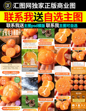 茂谷柑詳情頁