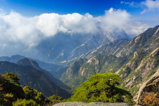 黄山风光