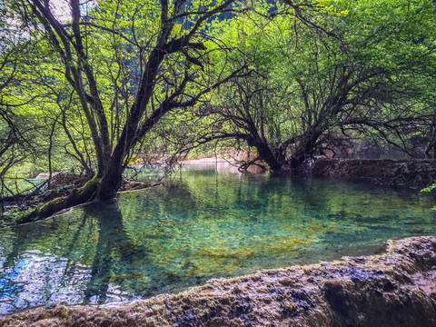 黄龙风景区