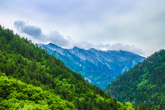 四川黄龙风景区高山风光