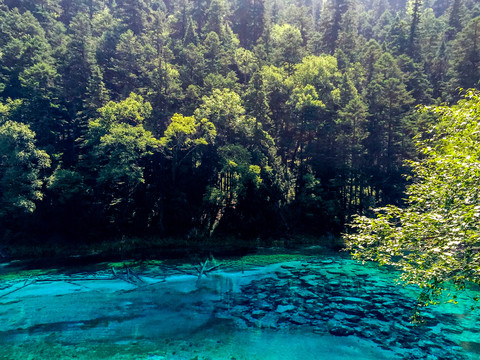 九寨风景区