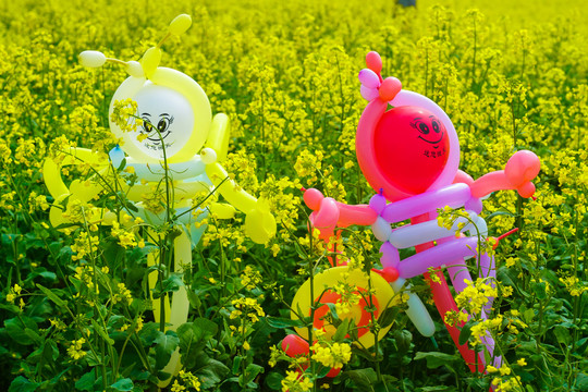 万亩油菜花花海