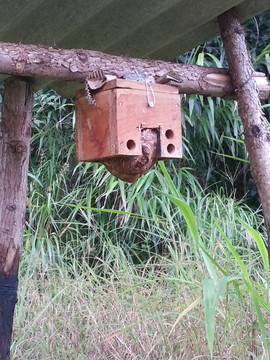 试验基地养殖标准蜂群木盒筑巢室