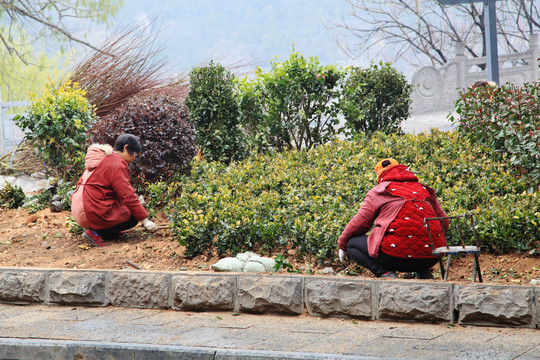 栽花种草劳动场景