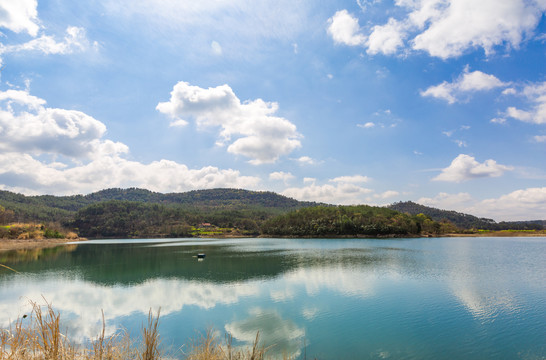 钱河湿地