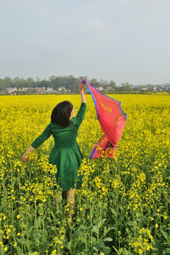 油菜花风景