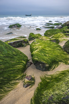 大海岩石