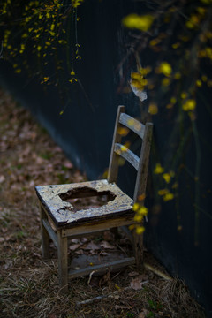 迎春花下的破椅子