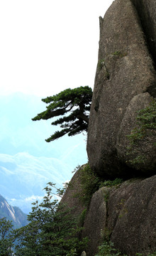 黄山自然风光